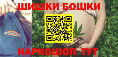 молекула духа Партизанск