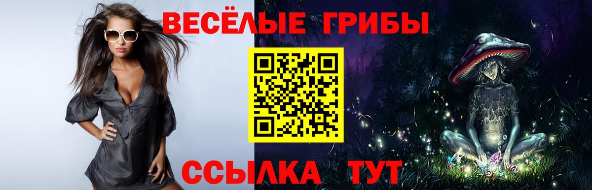 Псилоцибиновые грибы Psilocybine cubensis  Вход с VPN  Ревда  Псилоцибиновые грибы GOLDEN TEACHER 