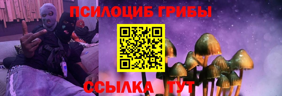 Псилоцибиновые грибы ЛСД Ревда